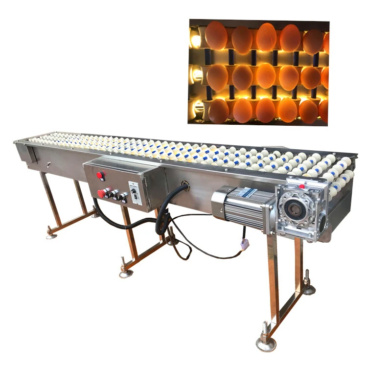 Cheap Egg Incubators for Sale Egg Lifter Transfer Machine Egg Candling Machine for Tunnel Hatcher