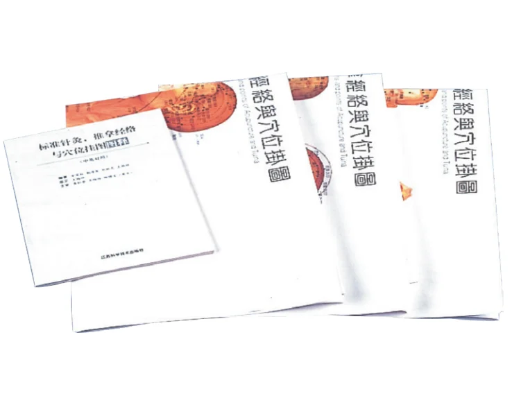 Настенные диаграммы для акупунктуры стопы модель здравоохранения