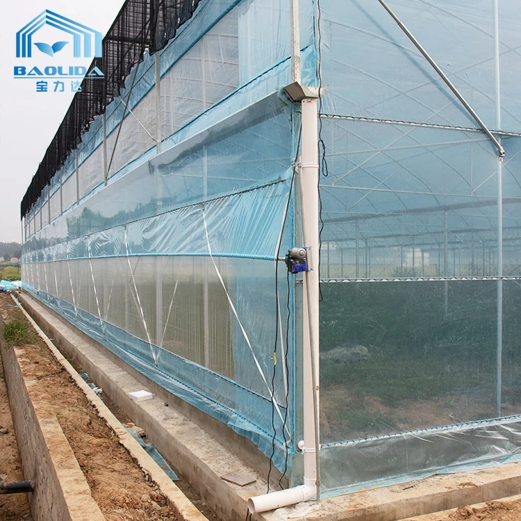 Cheap Tomato Agricultural Plastic Film Cover Low Cost Economic Large Multispan Greenhouse for Vegetable