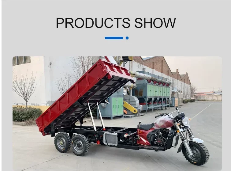 350CC Water Cooling Customized Double Wheel 9 Wheel Motorcycle Double Rear Axle 9 Wheel Cargo Tricycle