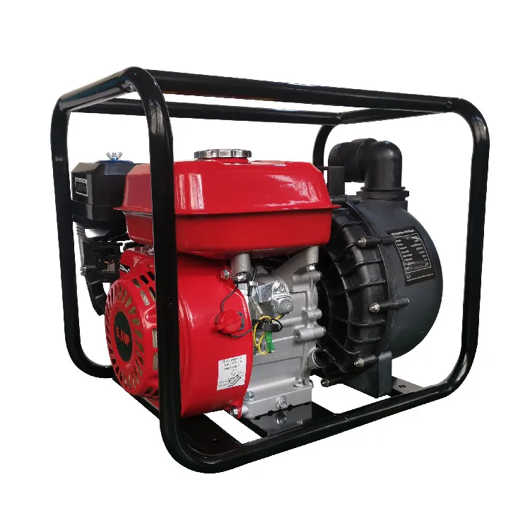 Power Value 2 inch mini Portable Chemical Gasoline Water Pump With 6.5hp engine for Salt Water 12V
