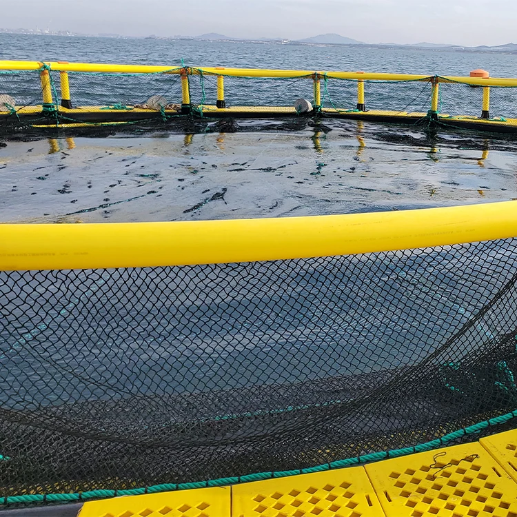  Плавающие рыбы для отлова морских обитателей клетка морской