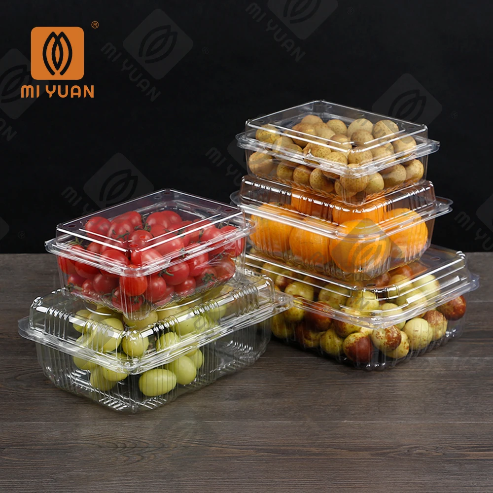 PET Clear Fresh Fruit Recyclable Plastic Clamshell Box For Supermarket Fruit Grape Fruit Box