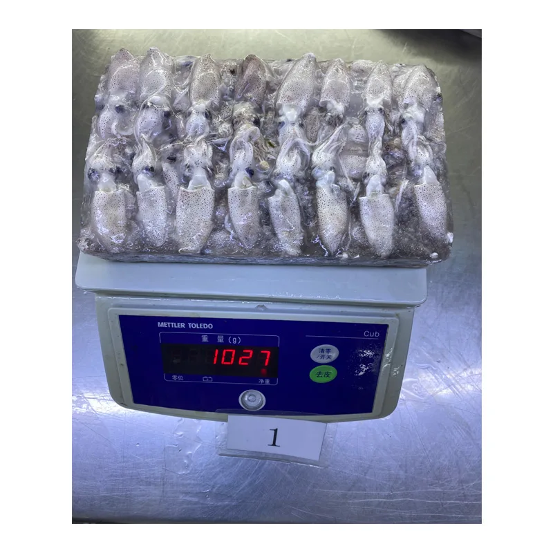 Good Price Seafood Fresh Frozen Fillet Baby Squid with best price
