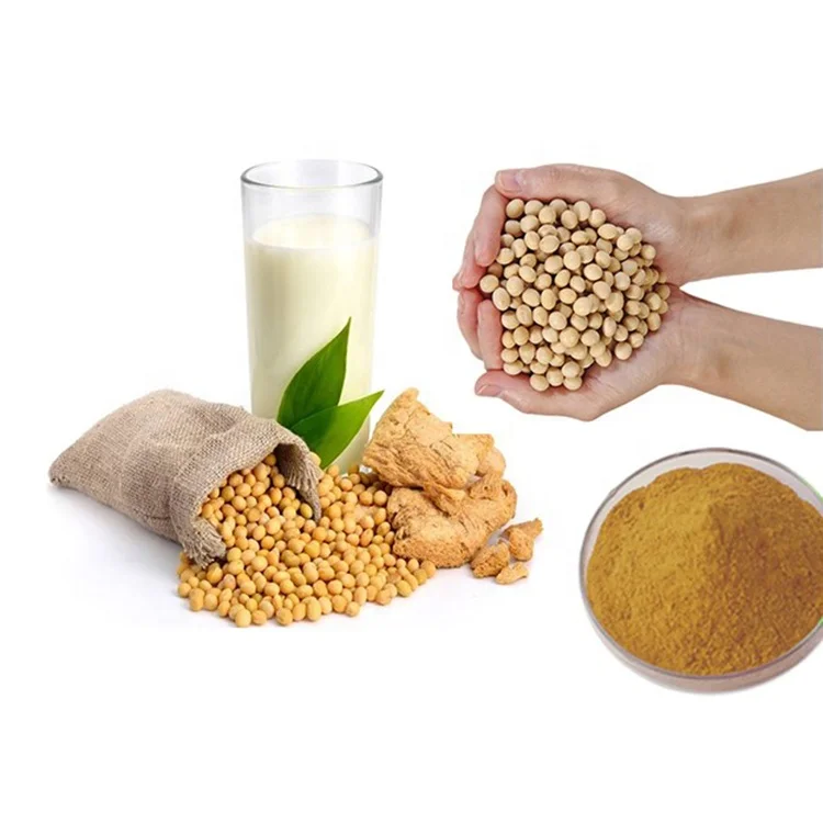 soy isoflavone professional producer pure soybean extract