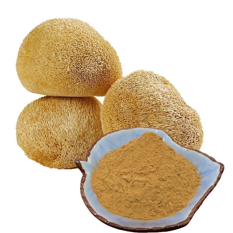 High Quality Pure Nautral Hericium Erinaceus lions Mane Mushroom Dried Hericium Erinaceus Mushroom Extract