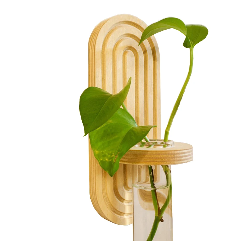 Rainbow Wall Hanging Wooden Hydroponic Plant Propagation Station Glass Test Tube Vase Planter Indoor Plant Stand Holder