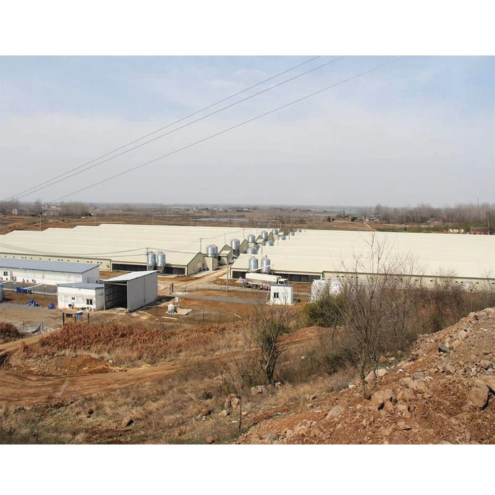 Good Quality Granjas Para El Cuidado De Los Pollos Industrial Chicken Coop House for Broiler Layer Steel Chicken House