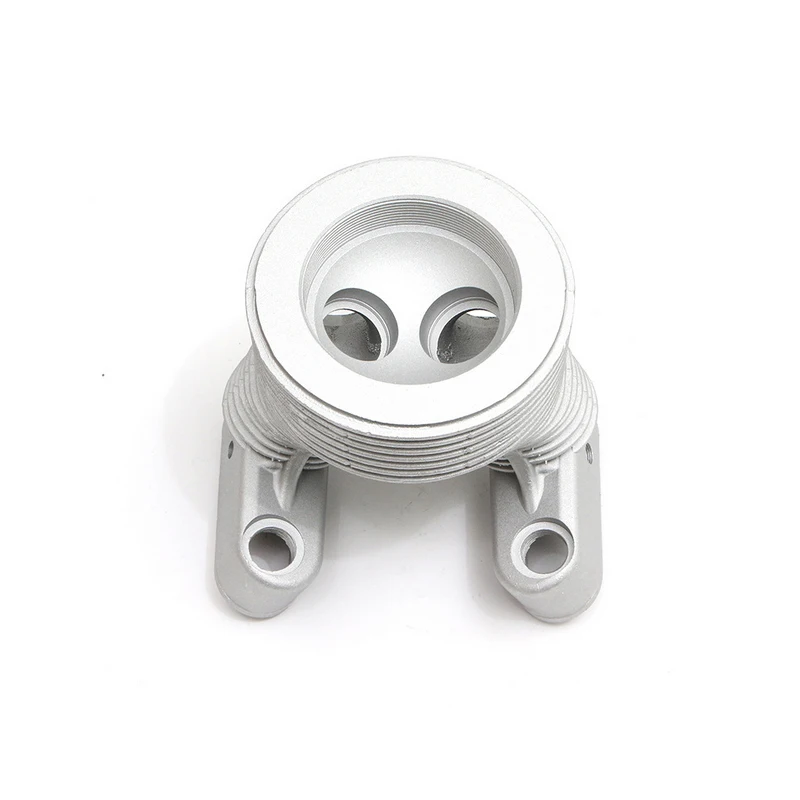 Custom Aluminum Alloy Metal Precision Die Casting Moulding Casting Parts For Industry/Machinery/Auto Parts