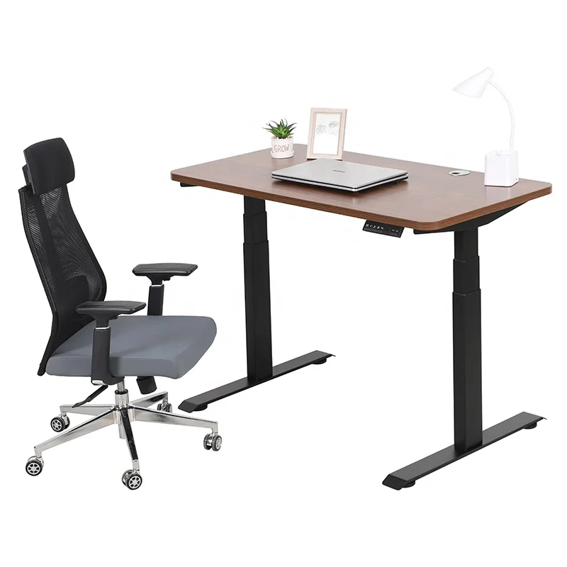 Wooden Sit Stand Up Table Oak Dual Motor Height Adjustable Electric Standing Desk