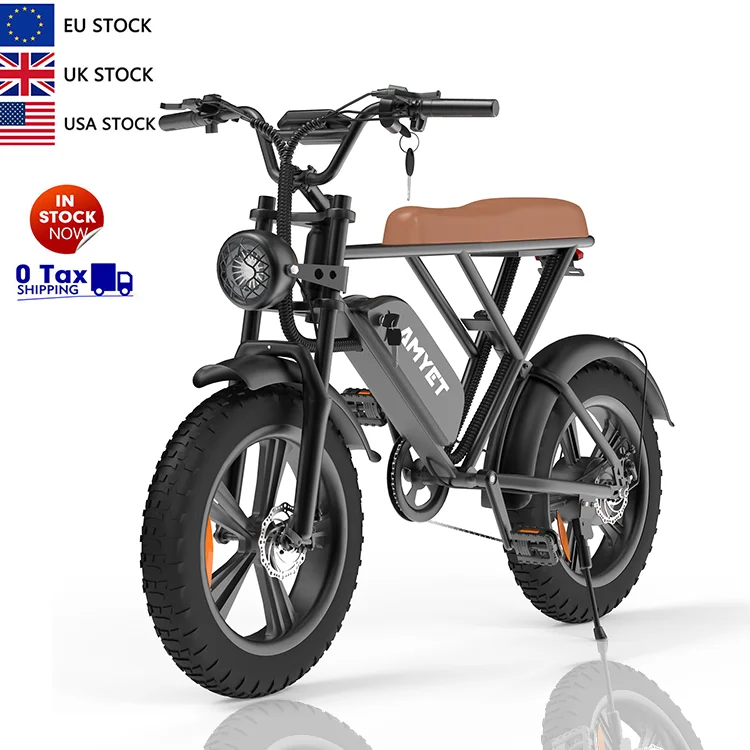 Hot selling fattire ebike 20inch fat tire mountain bike 1000w powerful motorcycle electric with double seat bicycle electric
