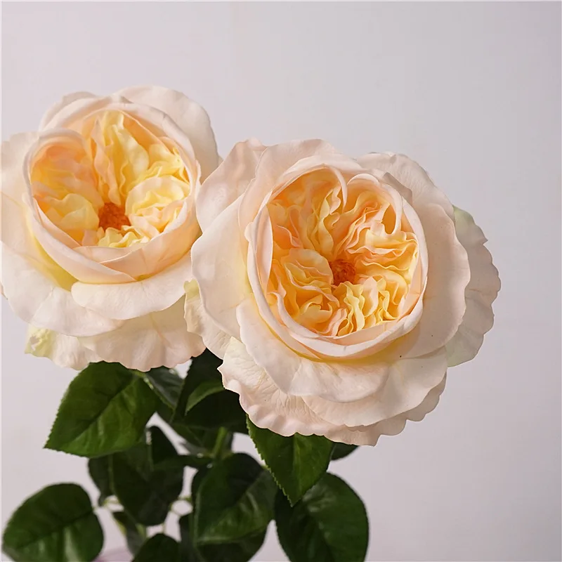 H-425 Real Touch Latex 15cm flower diameter  Artificial Austin Rose Flower High Quality For Moisture Flower Arrangement
