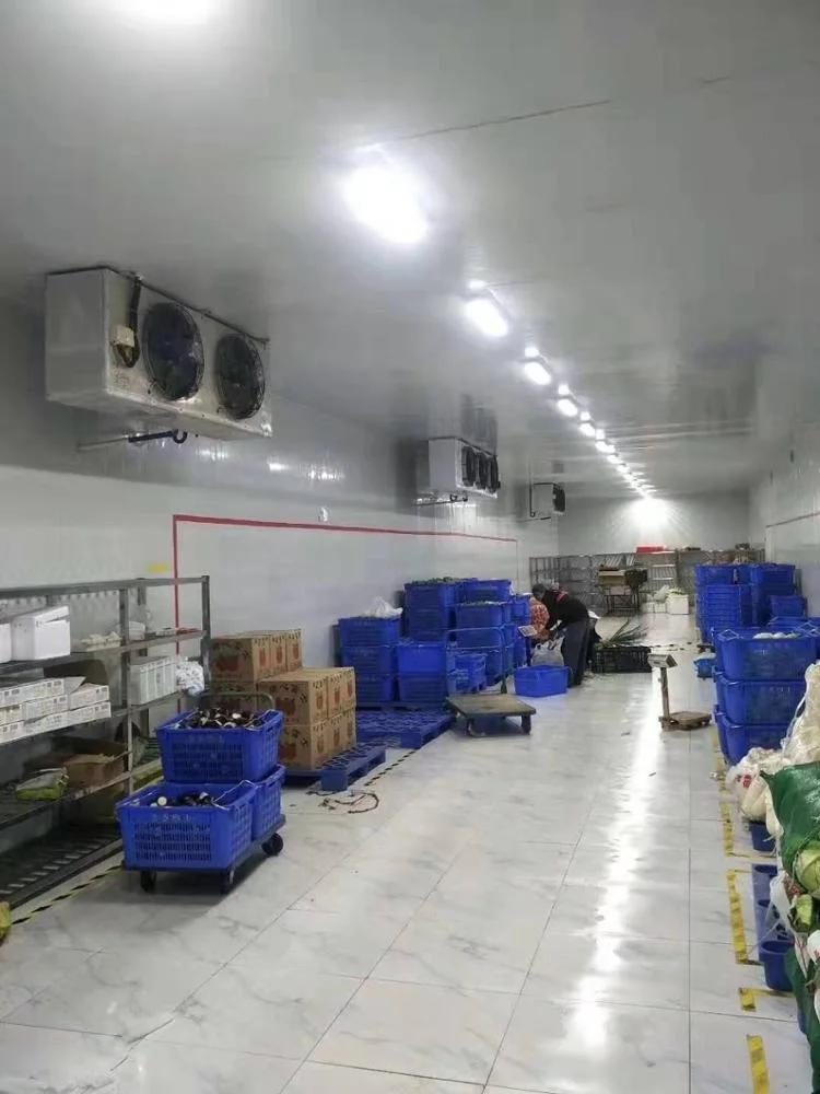 Green&Health Fruit Vegetable Use Sale Walk in Cooler Dairy Flowers Storage Cold Room
