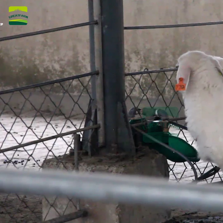 
 GREM FARM полный дизайн, бюджет фермы включают овцы, козы, коровы, говядины, крупного рогатого скота и другие крупные фермерские поставки оборудования  