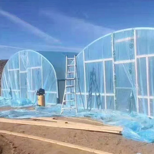 Factory direct selling low-cost multi span agricultural greenhouse +agricultural film