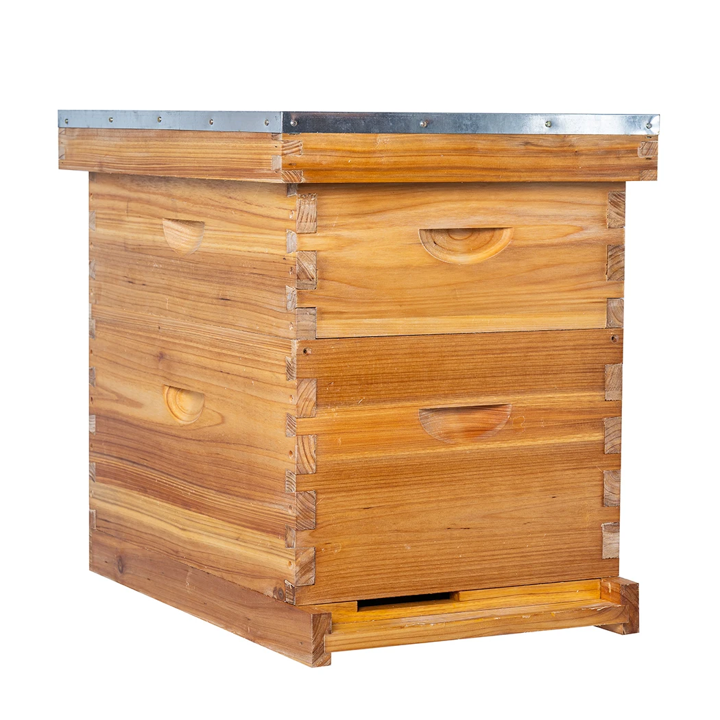 Langstroth Beehive 10 Frame Complete Hives Kit Beekeeping Equipment Wooden Honey Bee Hive Box For Bees