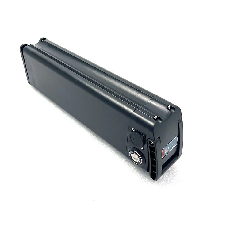 Reention Siver Fish Battery For Bicycle 48V 36V Electric Bike 24V 36Volt 48 Volt Electric Bicycle Lithium Battery