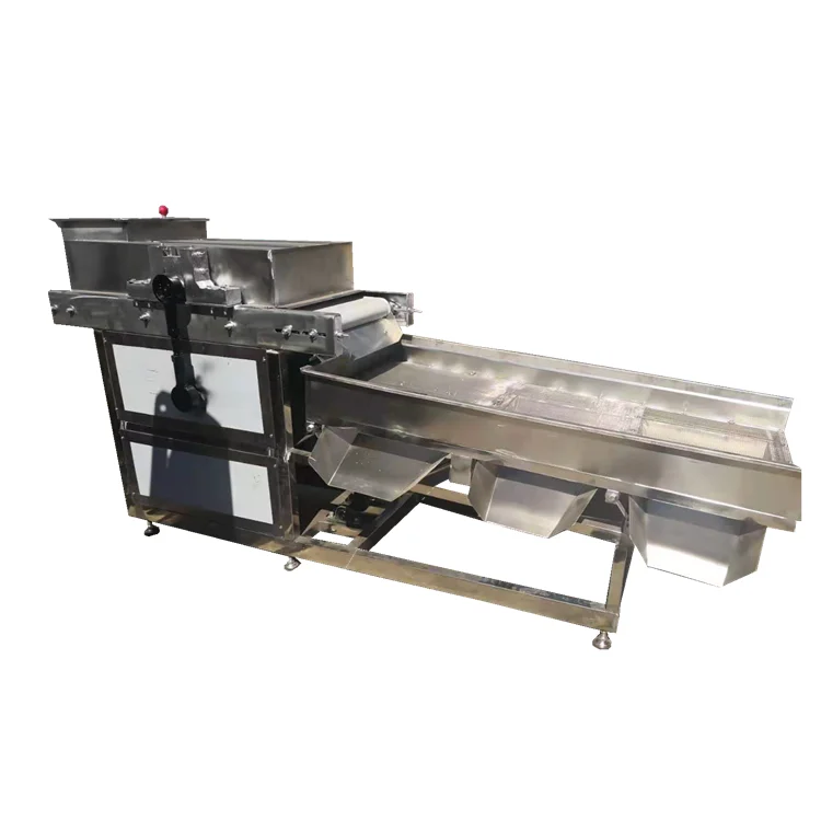 Almond peanut walnut nut cutting machine