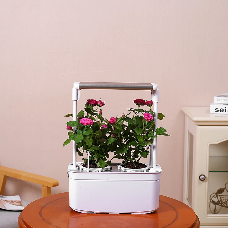 Shenzhen Creative Led light indoor mini smart garden for plants hydroponic smart garden flower planter home garden flower 6 pots