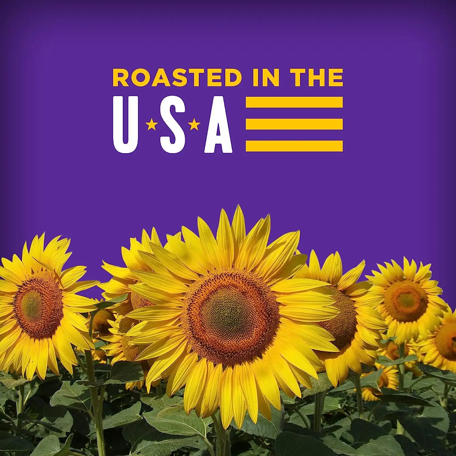 BIGS Takis Fuego Sunflower Seeds Hot Chili Lime Flavor Keto Friendly Snack 5.35 oz. (Pack of 8)