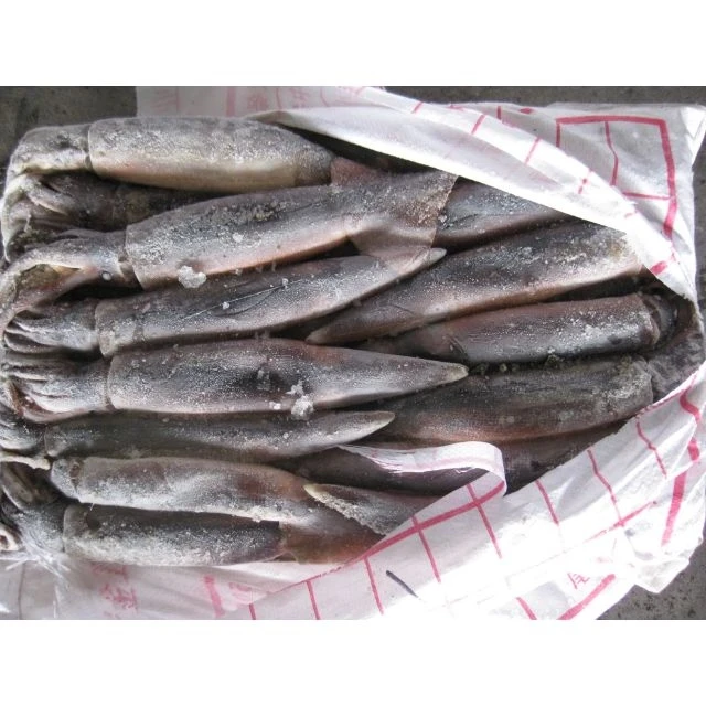 Seafood Supplier  Frozen Illex Argentina Squid 200-300g