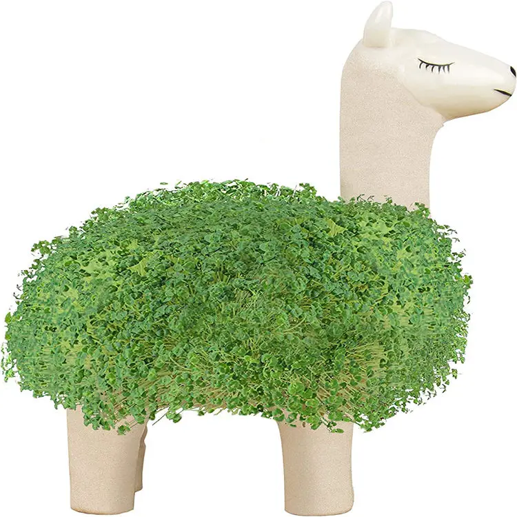 custom Ceramic Anime Chia Pet Pot Grow Your Own fluffy pet Llama Chia Planter Plant Pot
