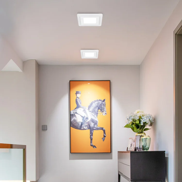 Custom panel lamp Watt 3 6 12 18 w factory price LED Recessed Double Color RGB Panel Light COB