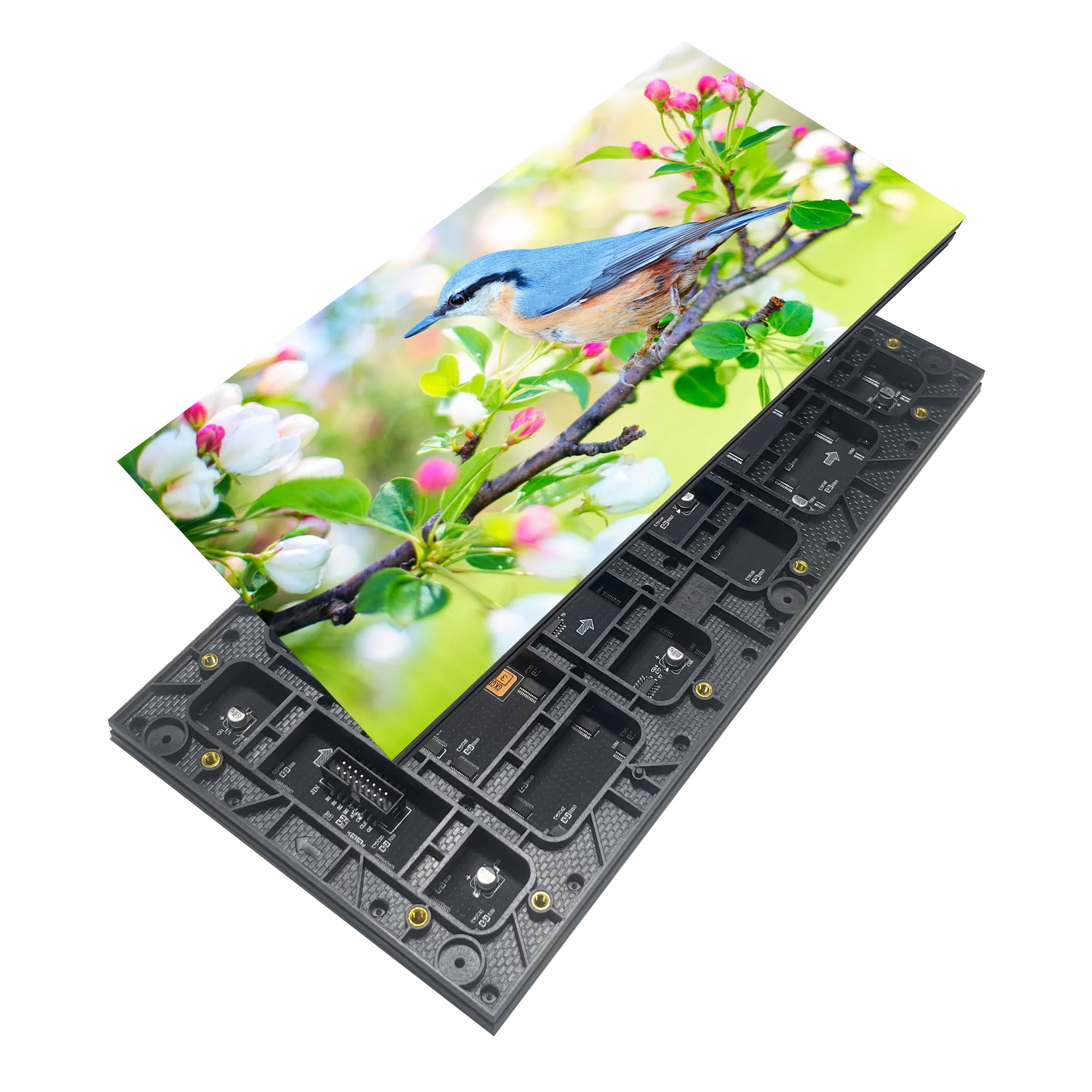 P2.5 объяснить светодиодный дисплей как он работает СВЕТОДИОДНЫЙ экран цвета светодиодный дисплей рекламная компания