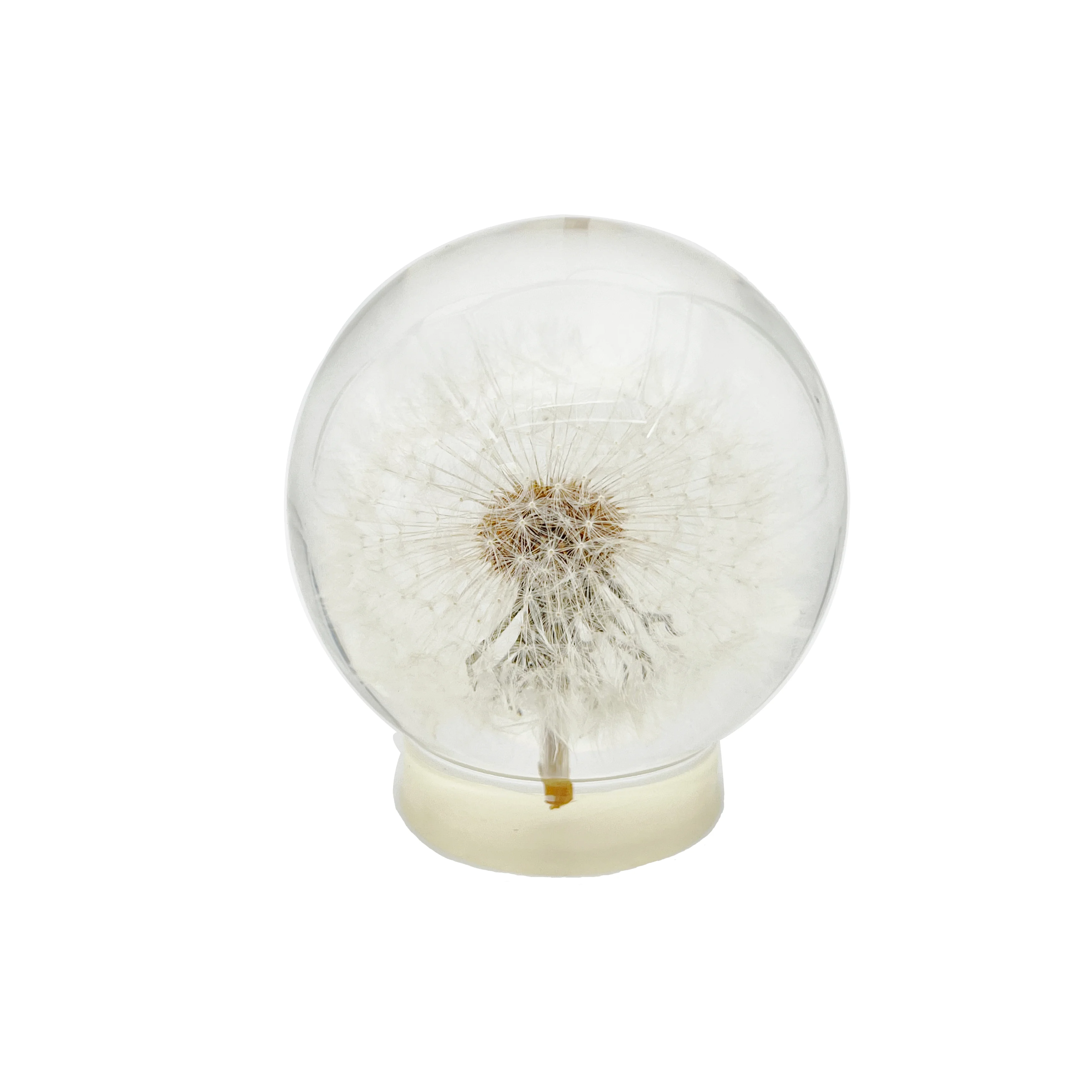 China wholesale preserved forever flower epoxy resin lucite real flower paperweight dandelion gift