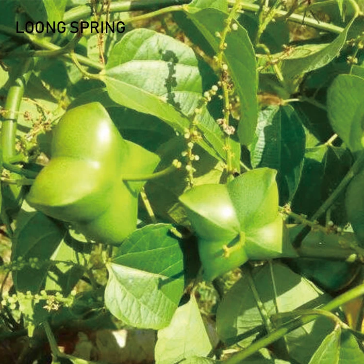 
Organic Sancha Inchi Oil for Strengthen Cardiovascular Vessels 