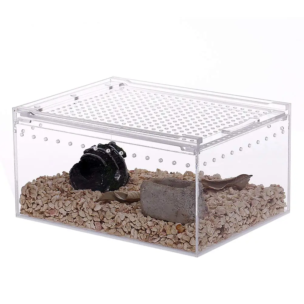 Custom Clear Rectangular Acrylic Reptile Boxes Create a Comfortable Environment for Animals
