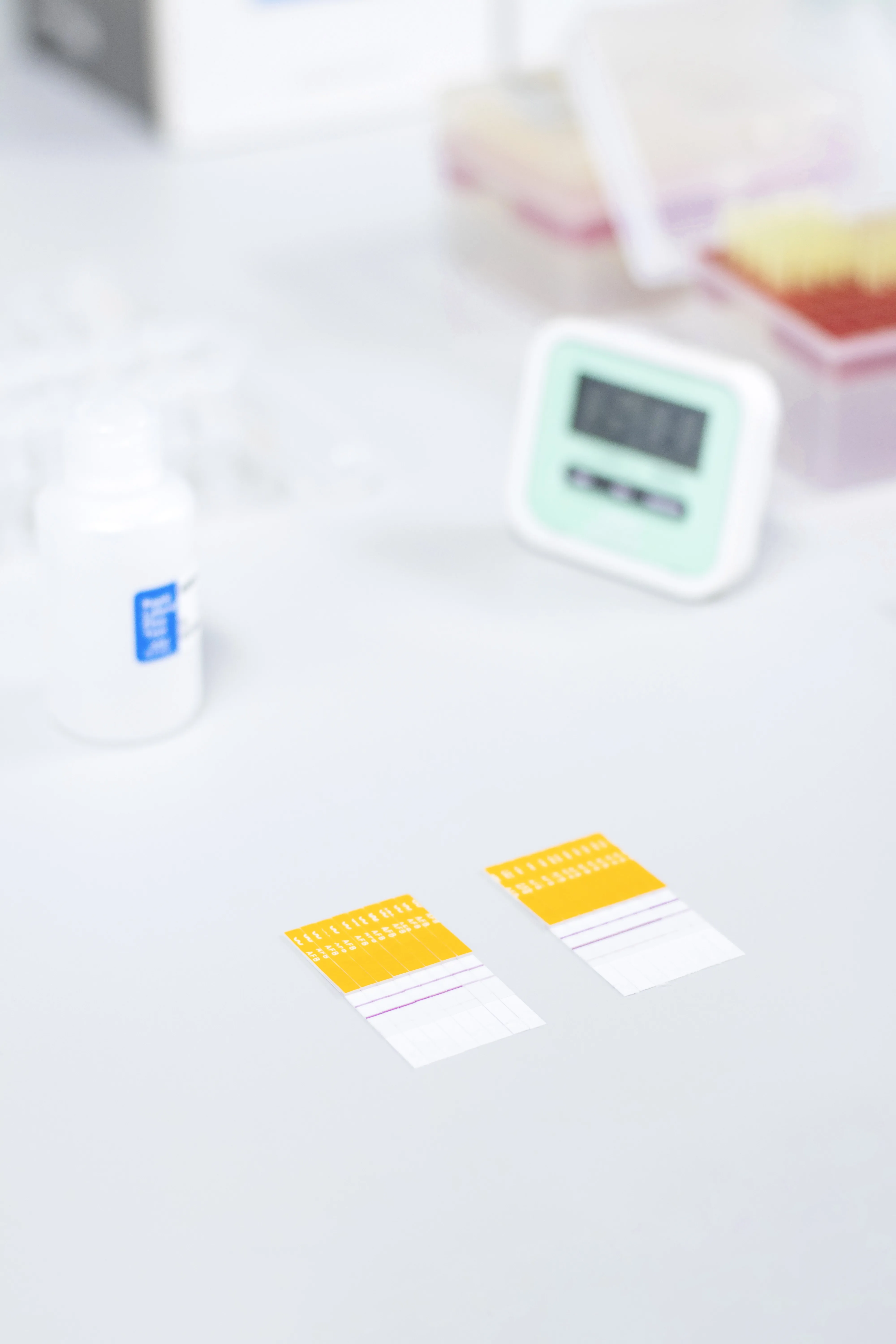 2in1 BTC BTCef Beta-lactams Tetracyclines Cefalexin Combo Rapid Test Strip Milk Samples