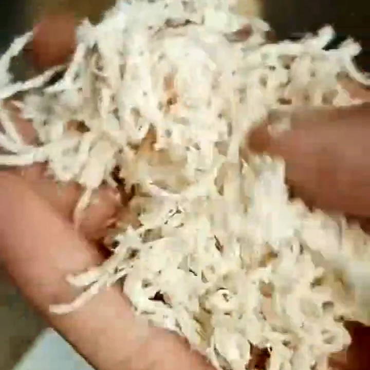 304 Stainless Steel Pork Chicken Fish Beef Shredded Dried Meat Machine Mushroom Dried Stem Dice Floss Equipment