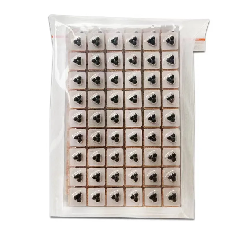 Traditional Chinese Medicine Vaccaria Ear Seeds Chinese Ear Acupuncture Therapy