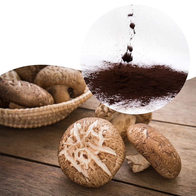 High quality dried shitake mushroom is organic food high shiitake wholesale