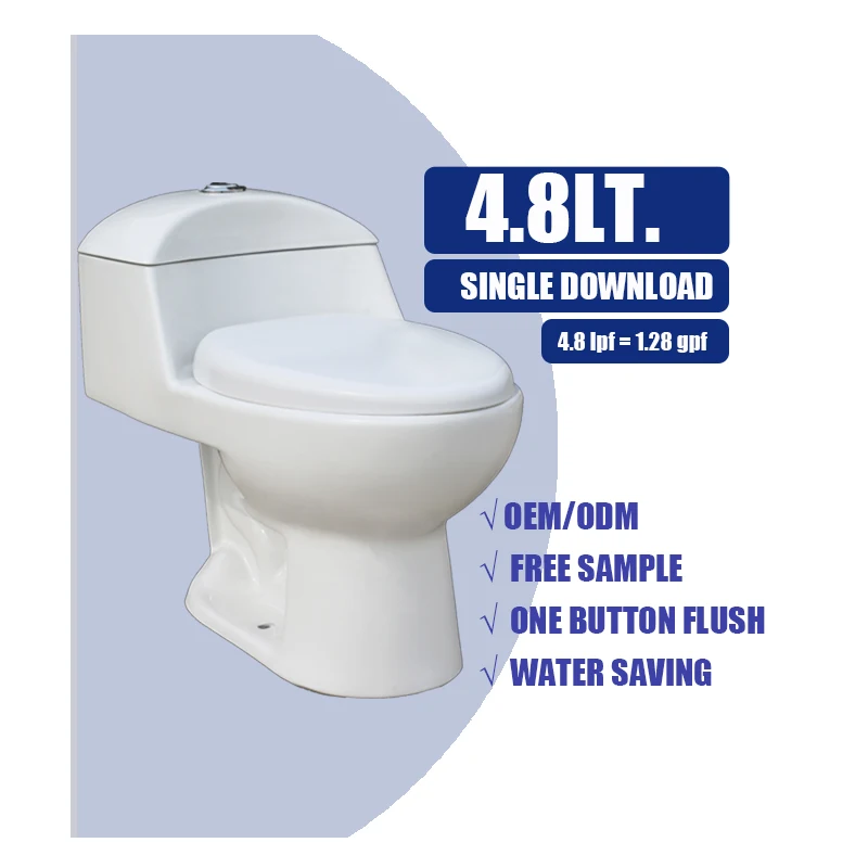 Inodoros Modernos Eco Friendly Toilet Single Download One Button Flush Low Pressure One Piece Toilet