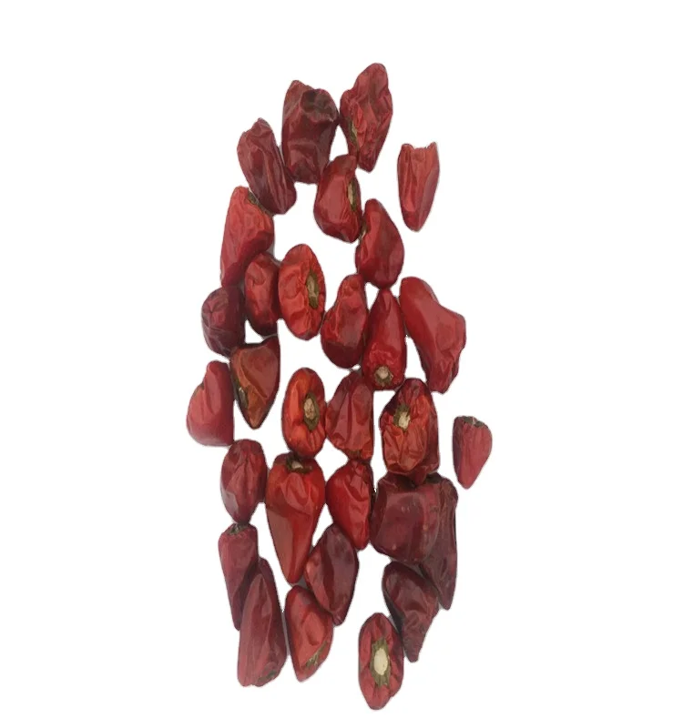 
 Увлекательный высушенные красные фонари Чили  