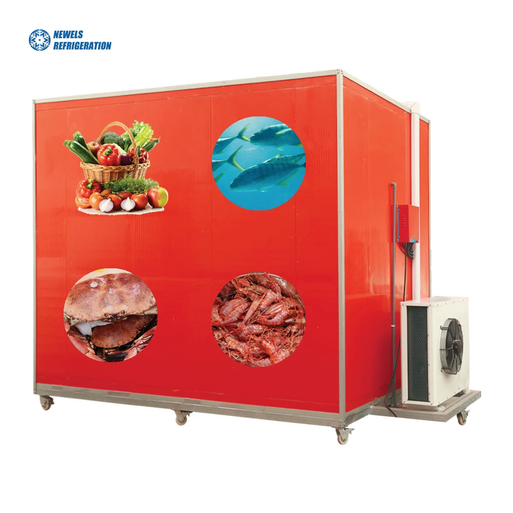 Newels Industrial Manufacturer Walk in Cooler Freezing Room Coldroom Chiller Room