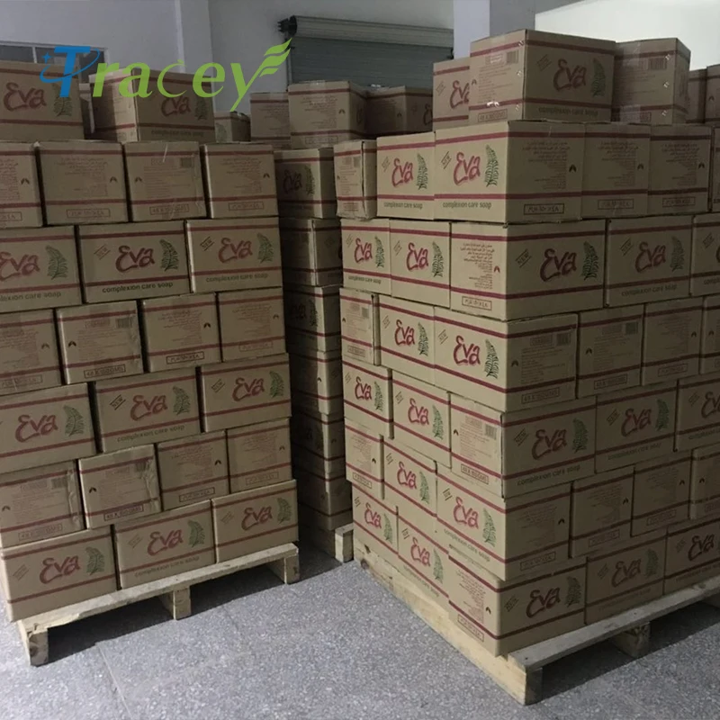 Fruit Bar Soap 70gr Refreshing Soap Best Selling and Top Quality Product for Wholesaler and Distributor