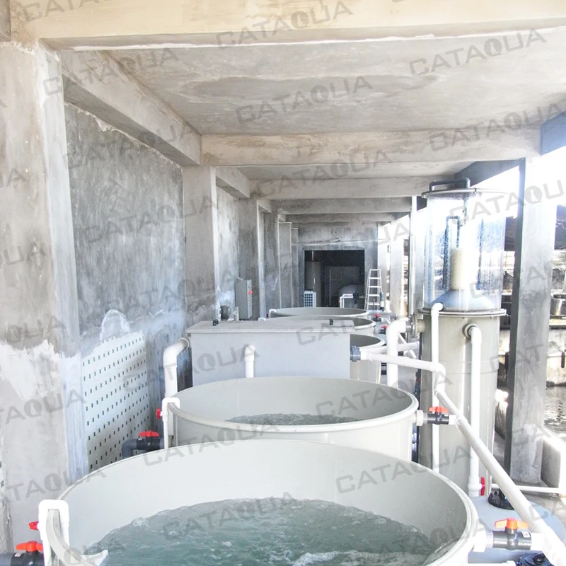 CATAQUA Ras System Aquaculture Equipment Fish Farming Equipment For Sale Used For Indoor Fish Farm
