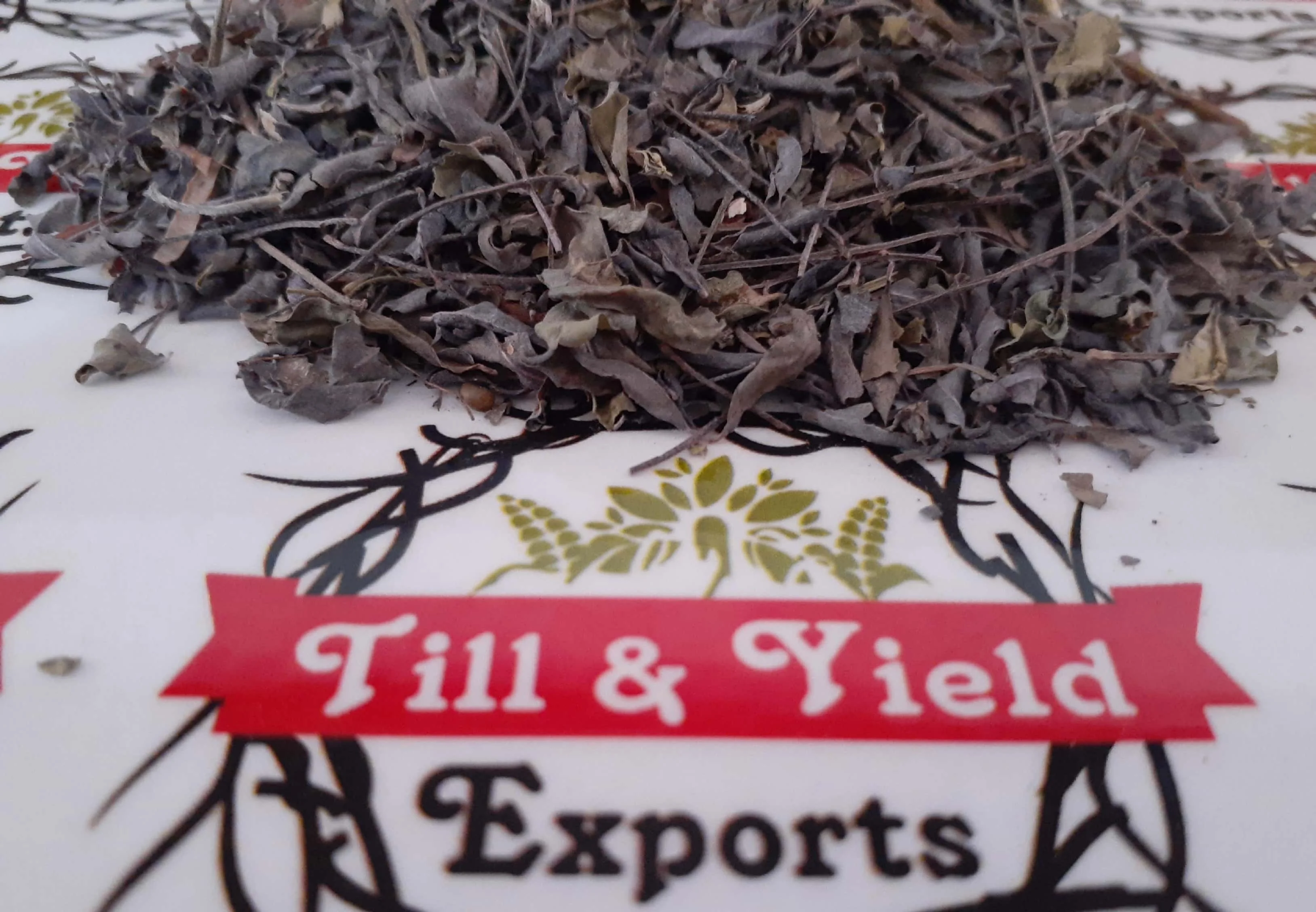 Export Quality Herb Indigo/ Indigo Tinctoria/Asian Indigo Promotes Hair Quality Solve Hair Problems