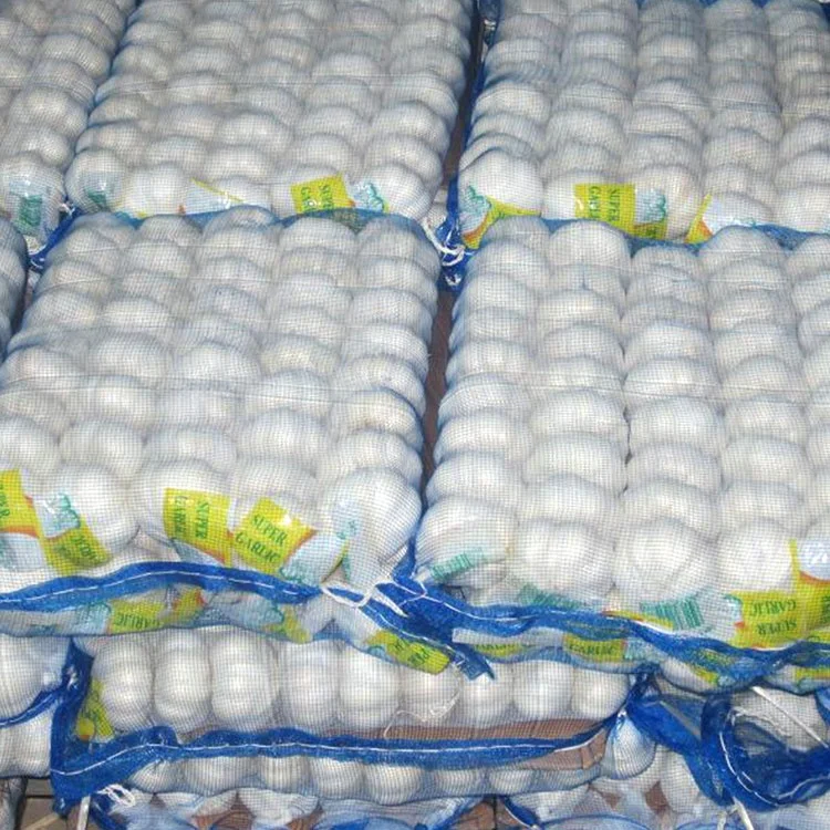 Good price wholesale large amount of fresh white garlic