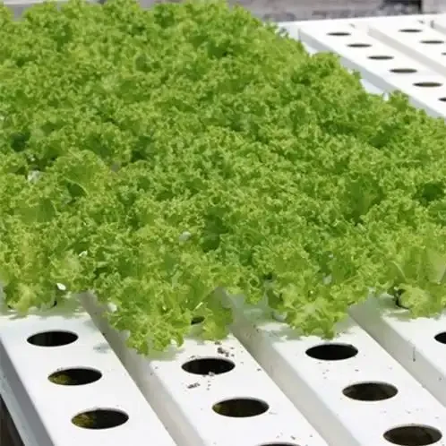 Manufacturer Plastic Nft Gully 100X50mm 110X110mm With Detachable Top Cover Lid For Growing for strawberry Lettuce Herbs