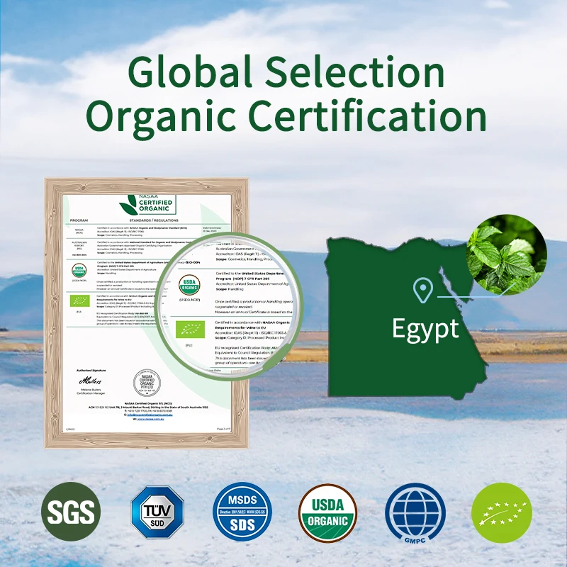 MSDS Organic Certified 100% Pure Natural Aromatherapy Essential Oil For Diffuser Aroma Body Humidifier Custom Packaging