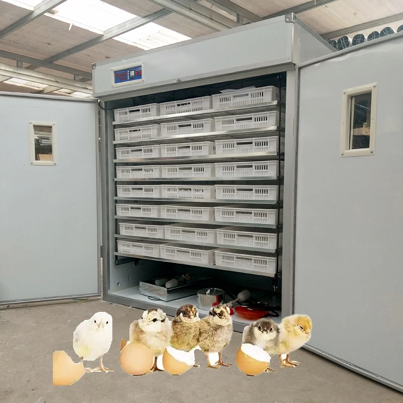 Full Automatic 528 Eggs Mini Poultry Chicken Hatching Machine Incubadoras Egg Incubator for sale