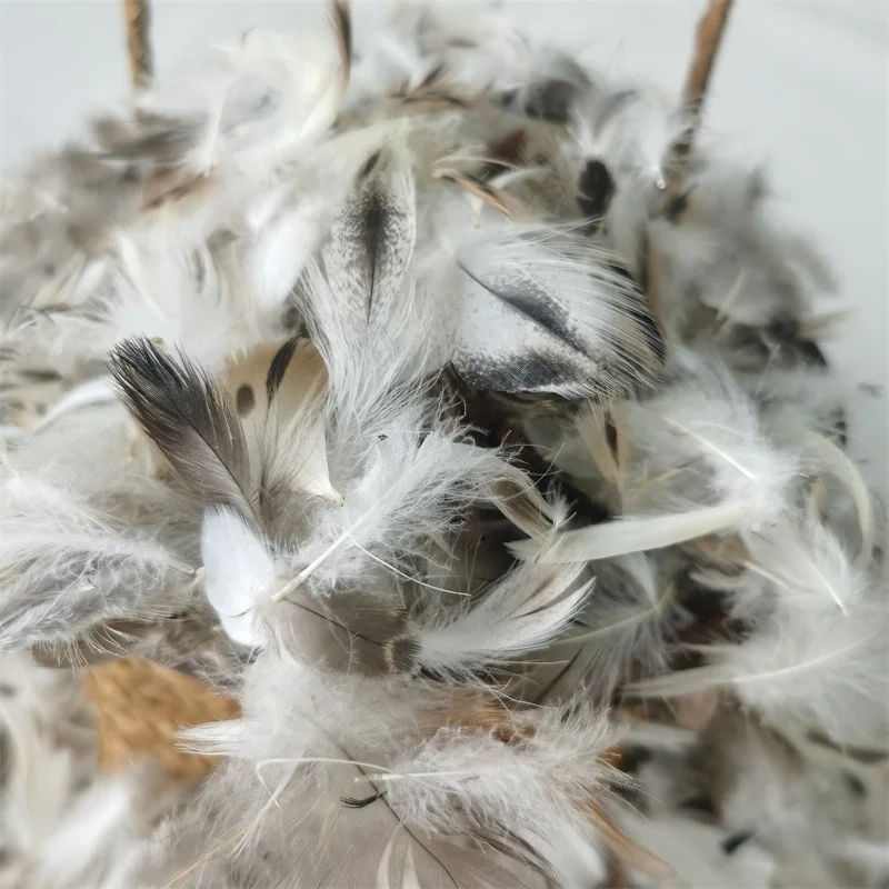 Wholesale Washed High Filling Natural Raw Goose/Duck Pure Feather Fiber Down for Pillow Duvet Use