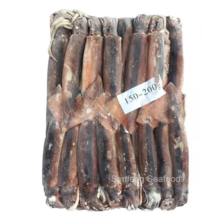 Whole Round Squid Export Frozen Illex Squid SANFENG SEAFOOD BQF Argentina Squid Wholesale