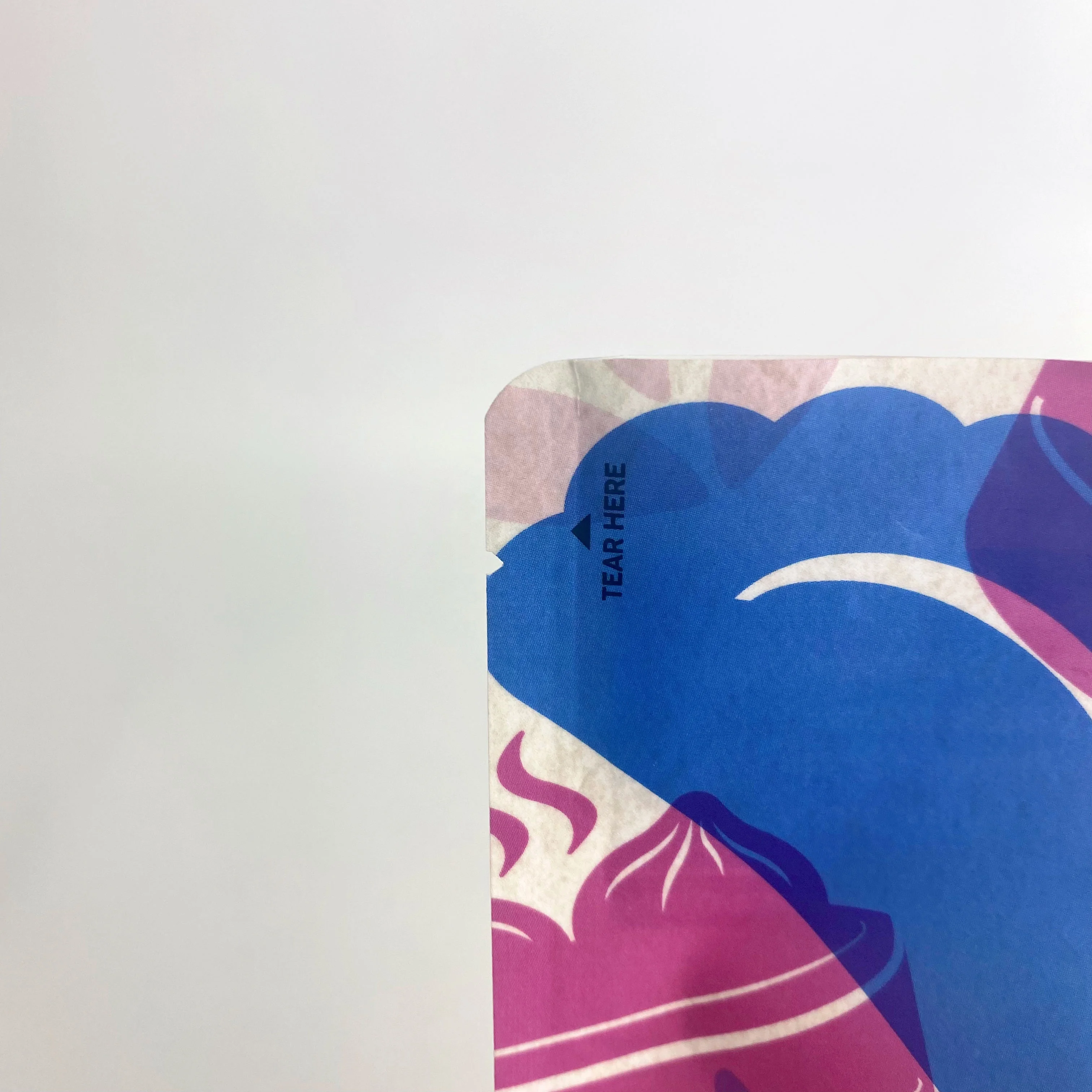 Customized Plastic Packaging Bag Food grade PE disposable for dumpling/frozen food