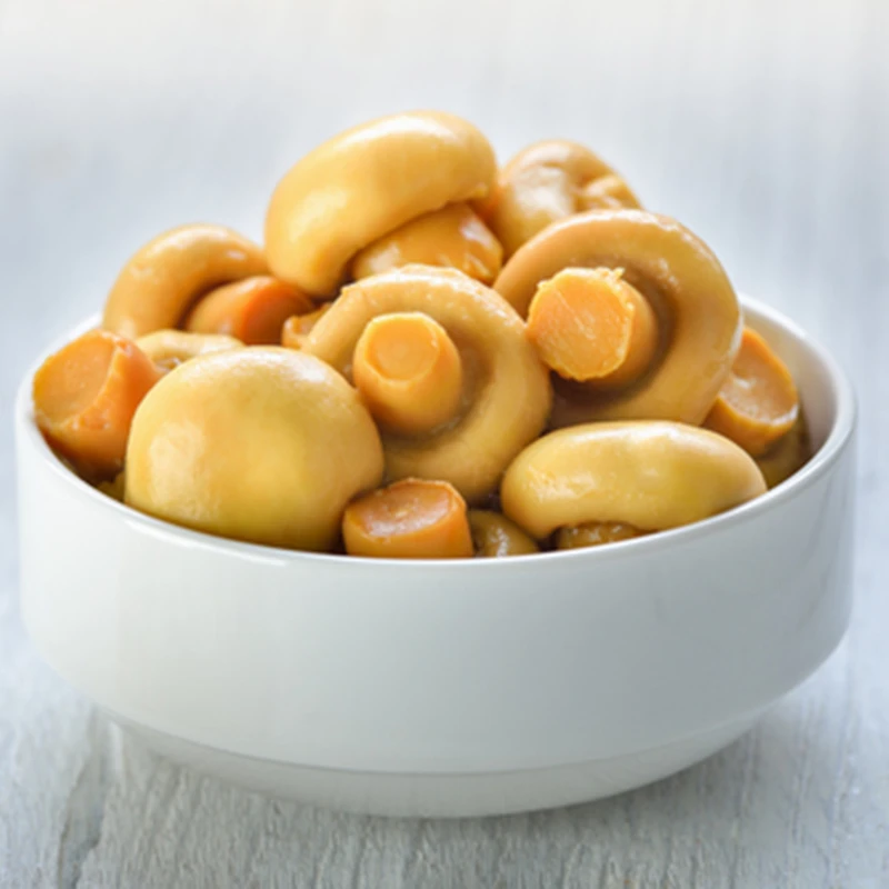 Low Price Mushroom in Can