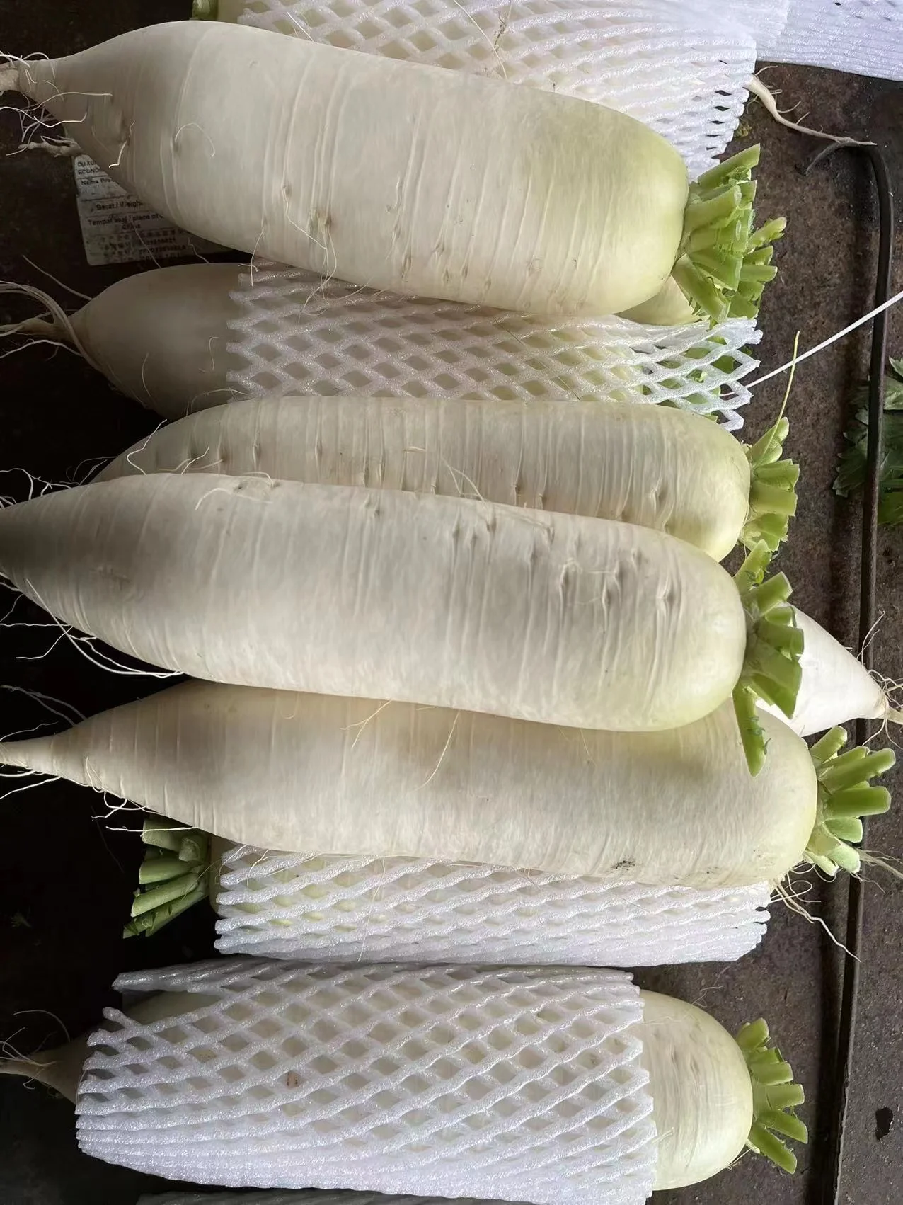 2022 Chinese Fresh White radish direct manufacture Shandong Xiamen new crop high quality